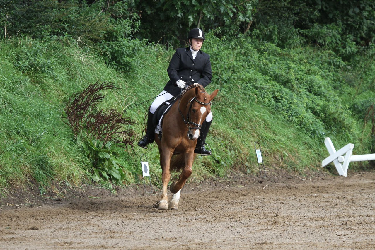Bild 114 - WBO-Turnier am 18.9.11